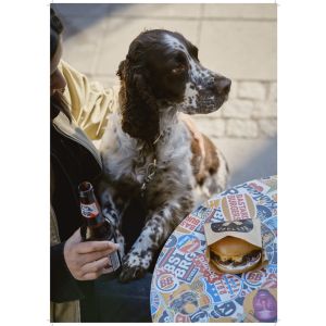 BB poster-A3 beer-focus dog